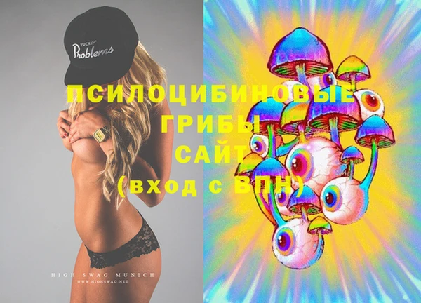 спиды Михайловск