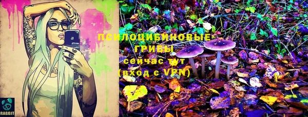 гидра Алексеевка