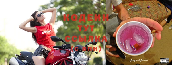 кокс Михайлов